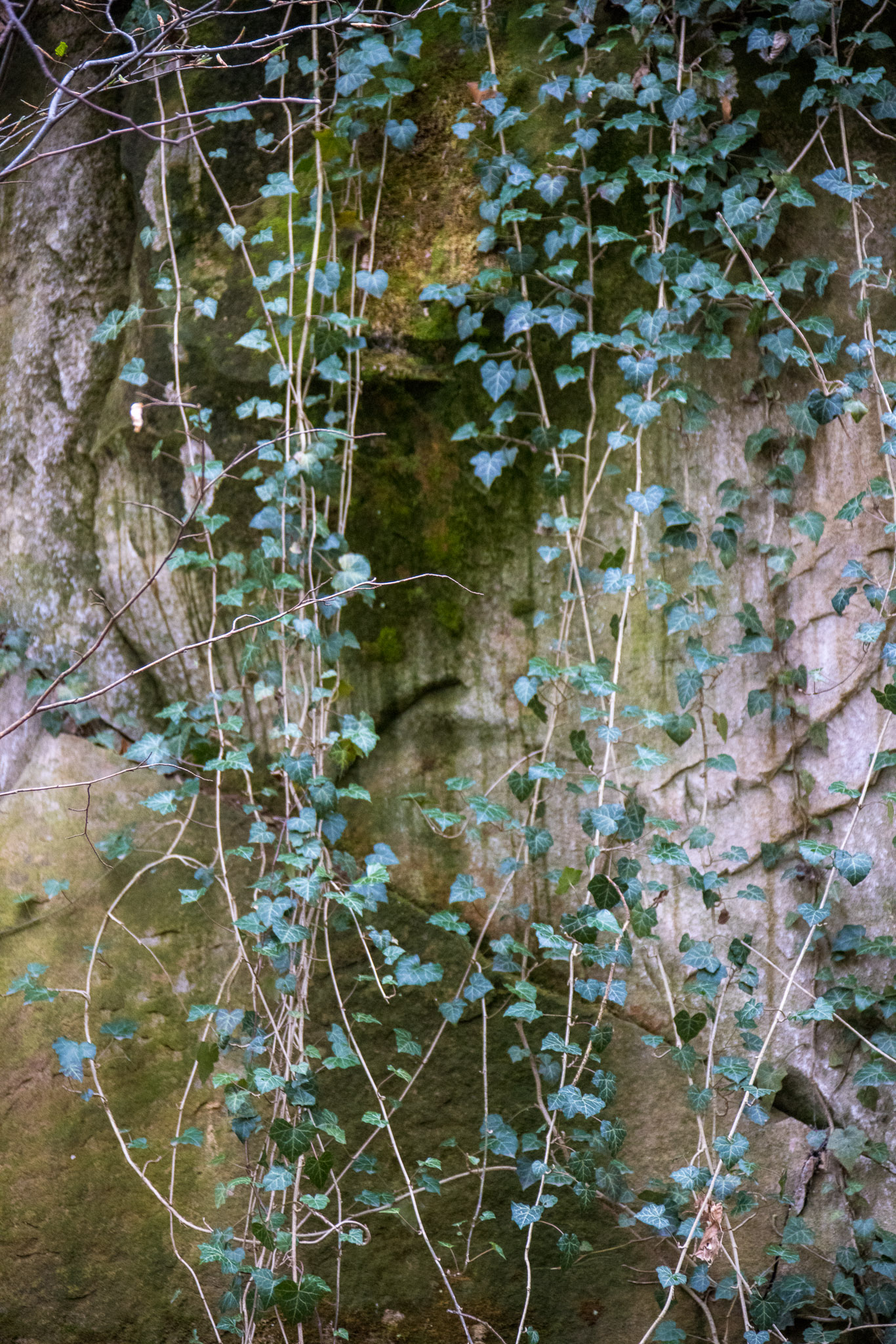 20220410112643 R5D 2021